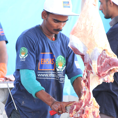 Qurbani
